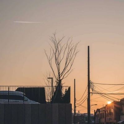 斗牛游戏大厅下载手机版